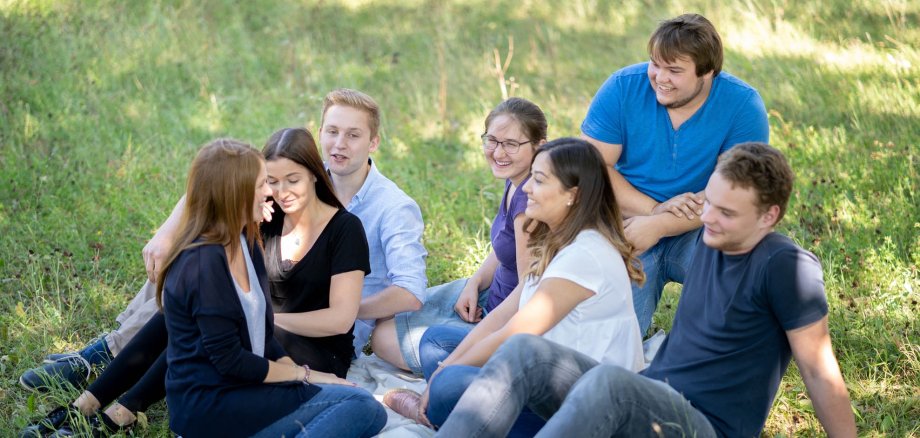 Seven teenagers sitting in the grass