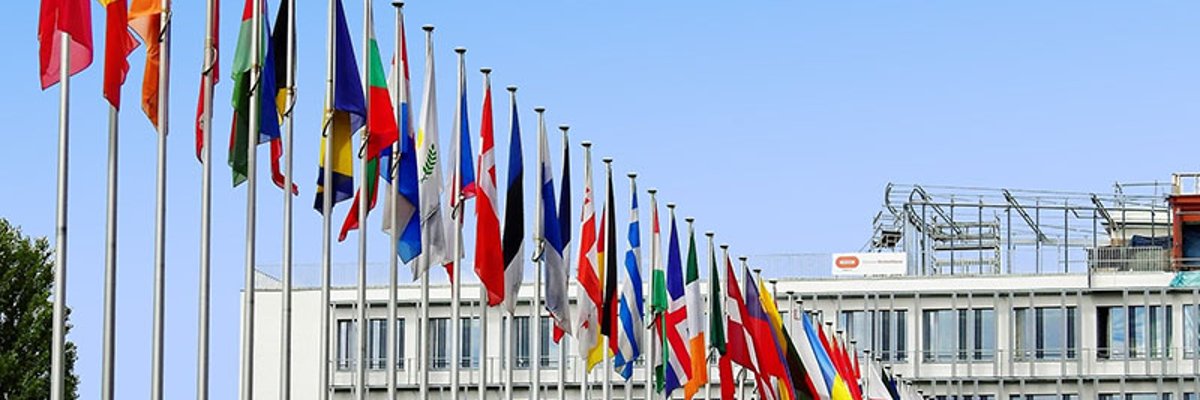 Many flags on flagpoles in front of an office building