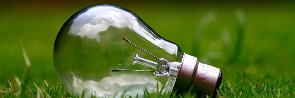 Light bulb on green grass