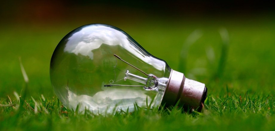 Light bulb on green grass