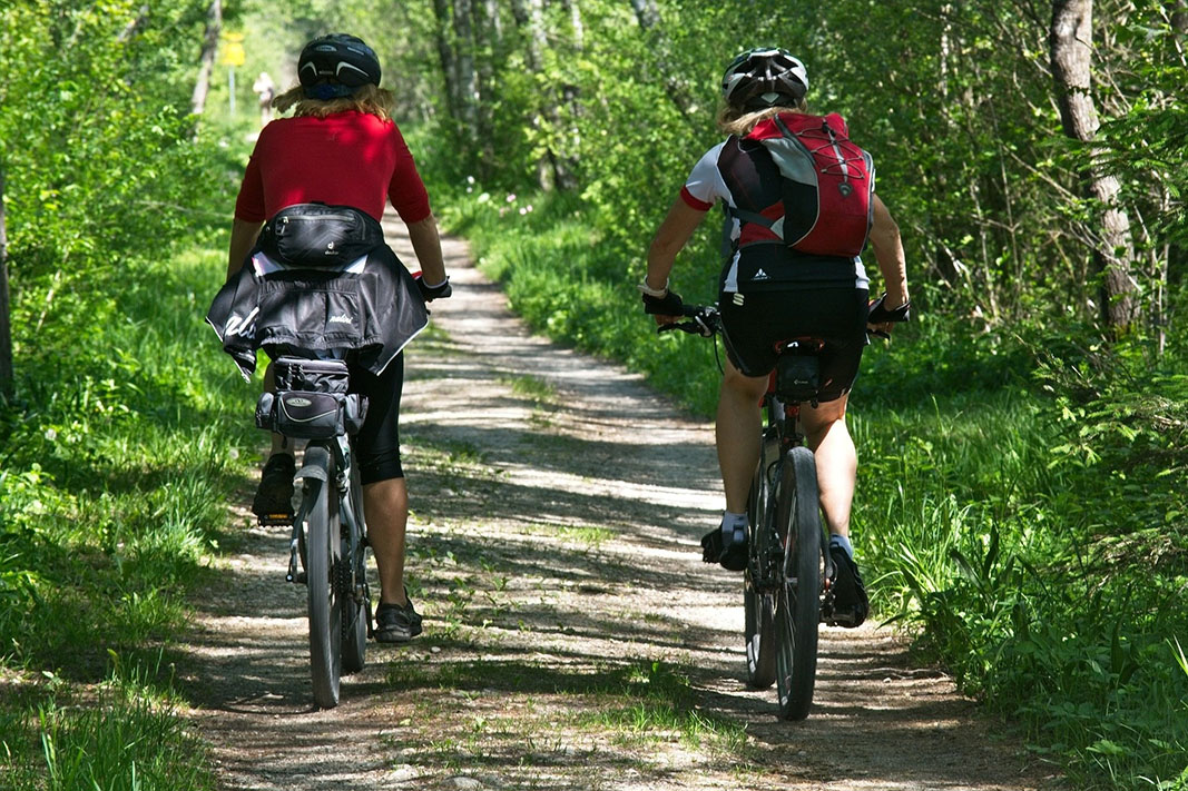 Cyclist Two cyclists from behind on a dirt road in a deciduous forest