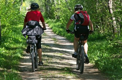 Two cyclists from behind on a dirt road in a deciduous forest
