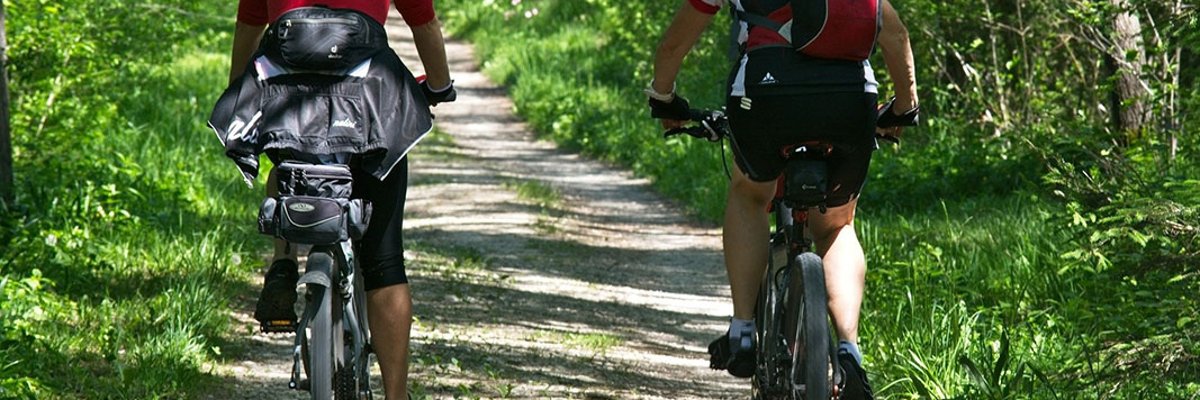 Two cyclists from behind on a dirt road in a deciduous forest