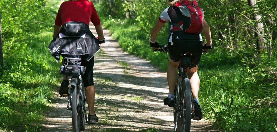 Two cyclists from behind on a dirt road in a deciduous forest