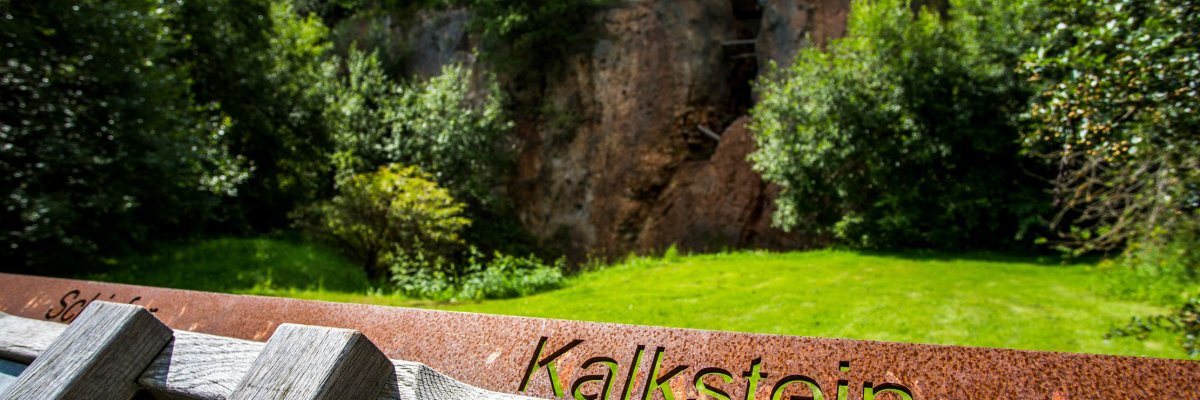 Writing limestone in front of a covered crevice surrounded by bushes and trees