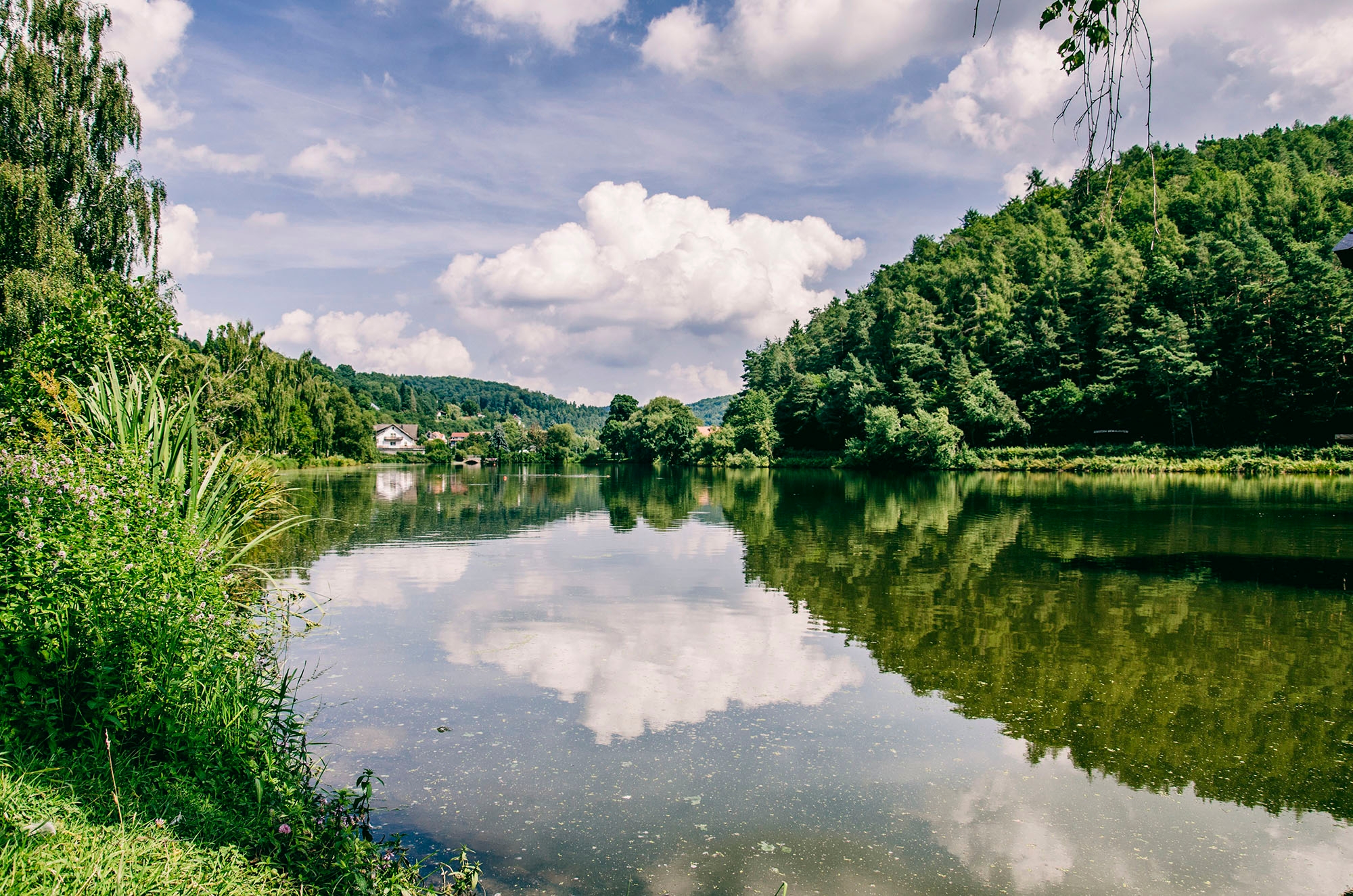 Clouds reflected in a body of water framed by a forest on the right and a green strip on the left