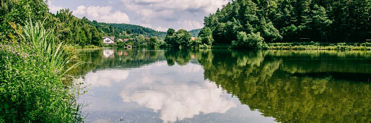 Clouds reflected in a body of water framed by a forest on the right and a green strip on the left