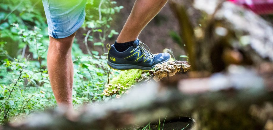 Man's legs in shorts, left foot in light hiking boot stands on a mushroom-covered tree stump