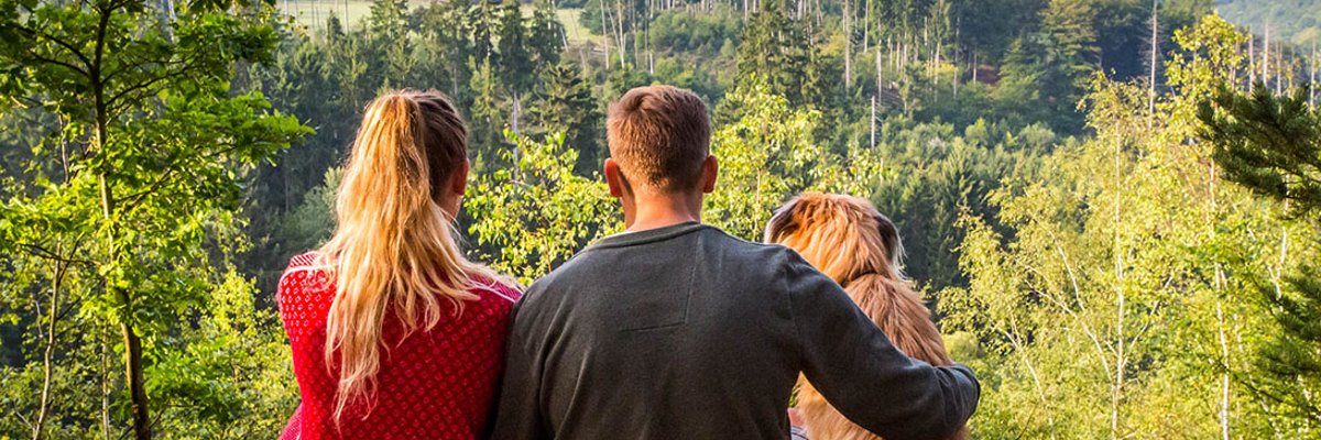 Rear view of a young couple with dog in view of a deciduous forest