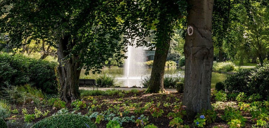 View over herbaceous border between trees to a water fountain