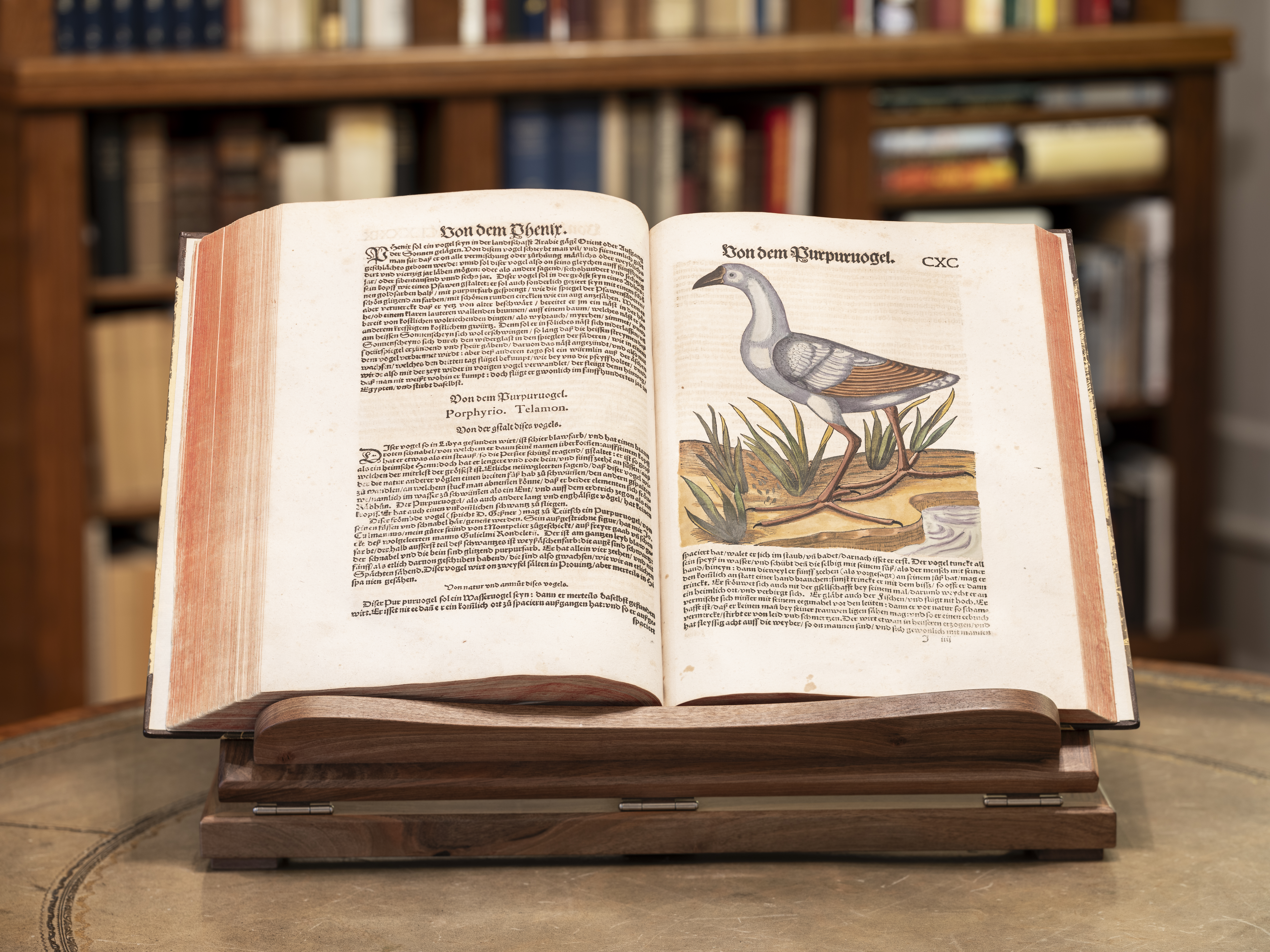 Brehm Foundation Library 2024 Brehm Foundation Library 2024