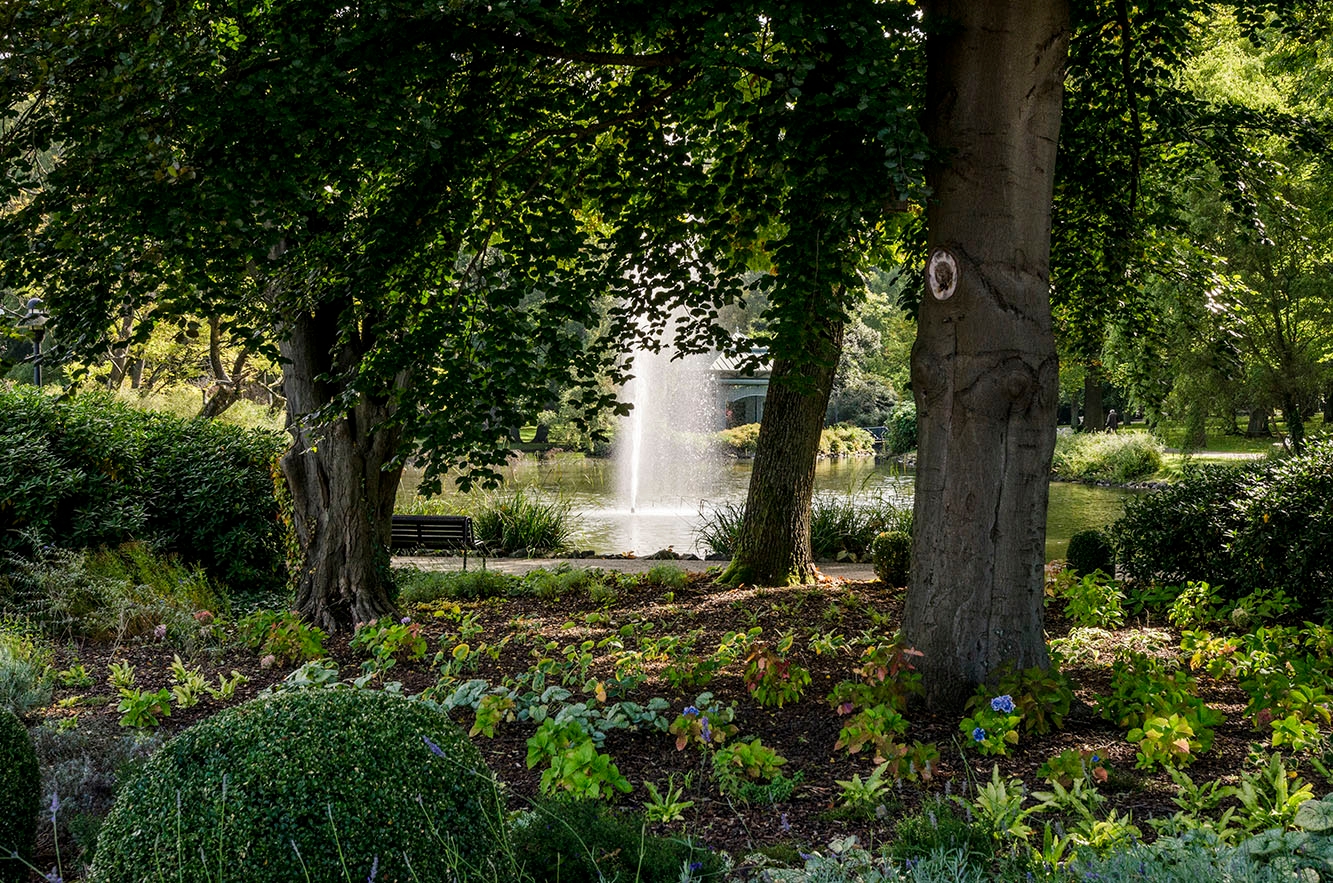 Ağaçlar arasındaki otsu bordürün üzerinden su çeşmesine bakış