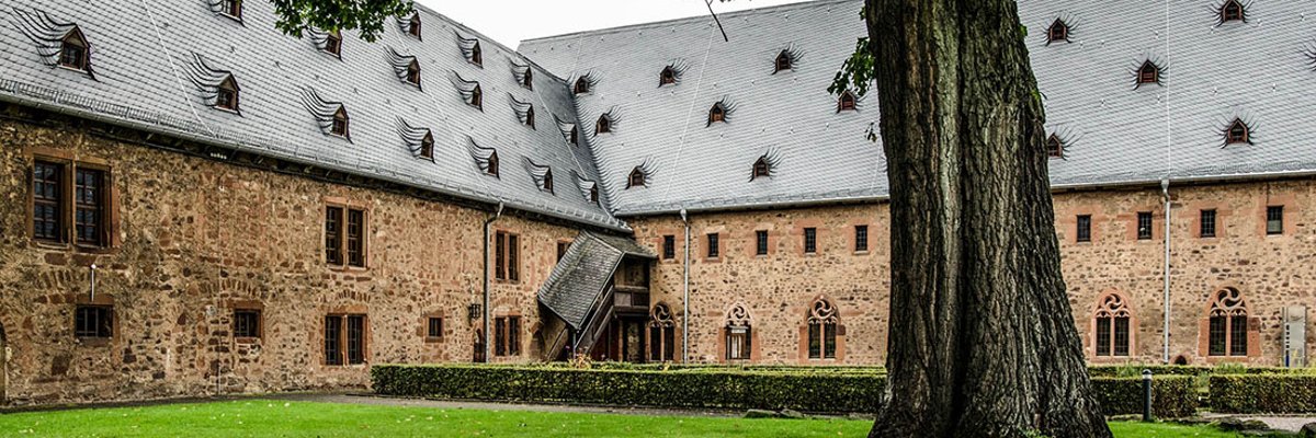 Baum auf Wiese in einem Innenhof eines alten Klostergebäudes