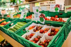 Regionales Gemüse in grünen Plastikkisten liegt in einem Laden