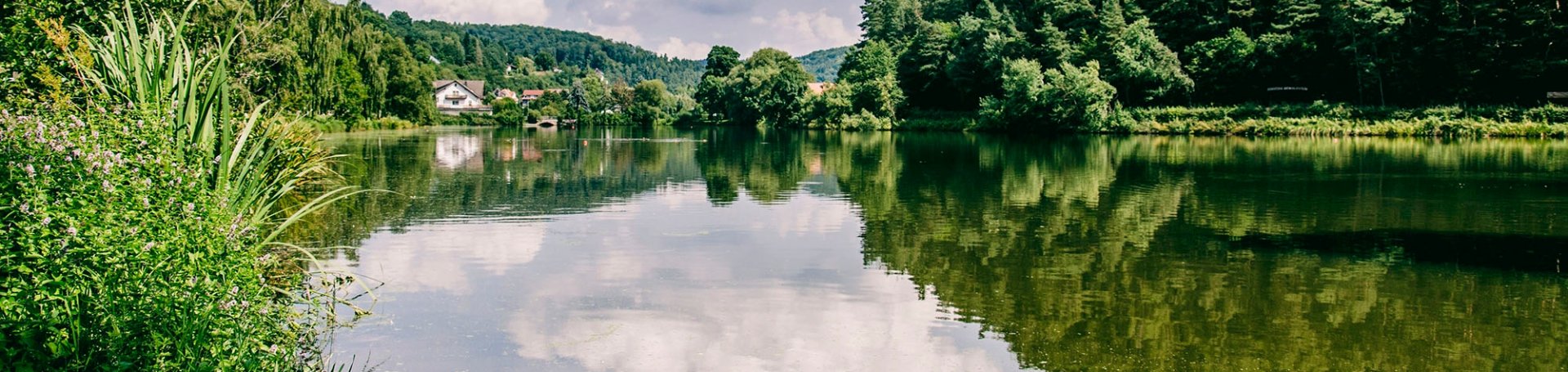 Wolken spiegeln sich in einem Gewässer, das rechts von einem Wald und links von einem Grünstreifen eingerahmt wird