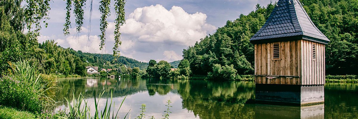 Kirchturm mit Wetterhahn in einem Gewässer umrahmt von Wald und Grünstreifen