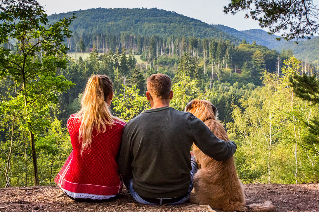 Nationalpark Rückansicht eines jungen Ehepaares mit Hund im Blick auf einen Laubwald
