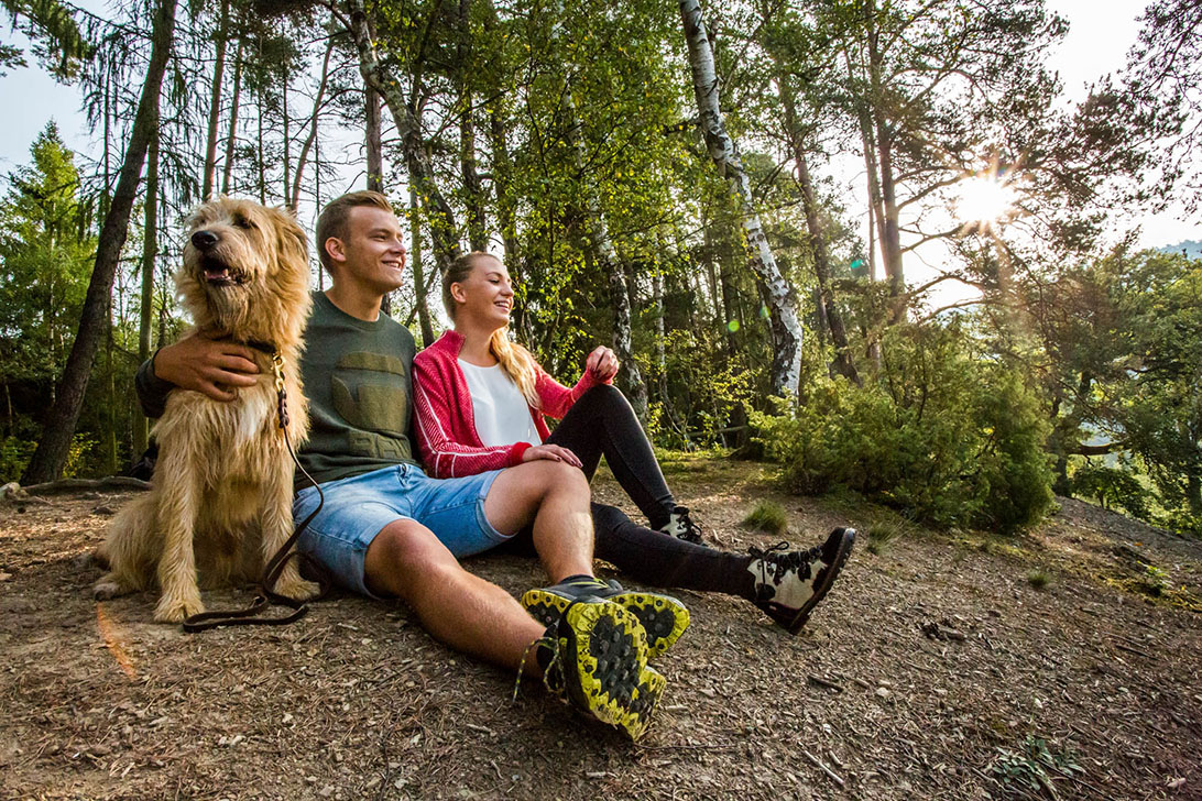 Nationalpark junges Ehepaar mit Hund sitzt auf kargem Waldboden mit Laubbäumen im Hintergrund
